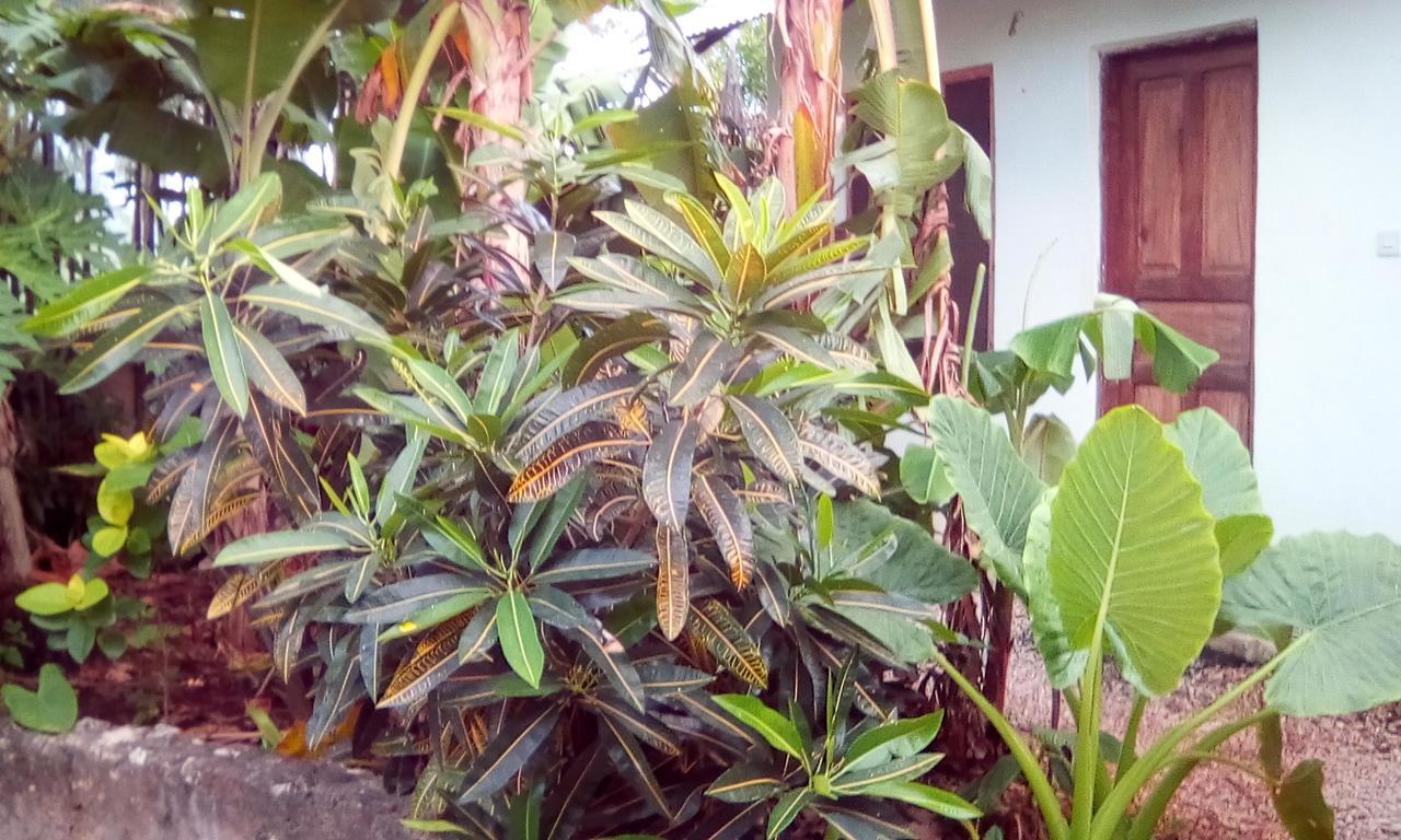 Jambiani Home Stay Luaran gambar