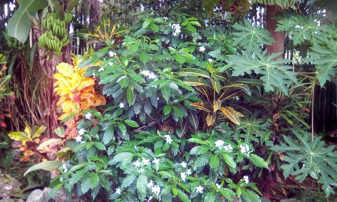 Jambiani Home Stay Luaran gambar